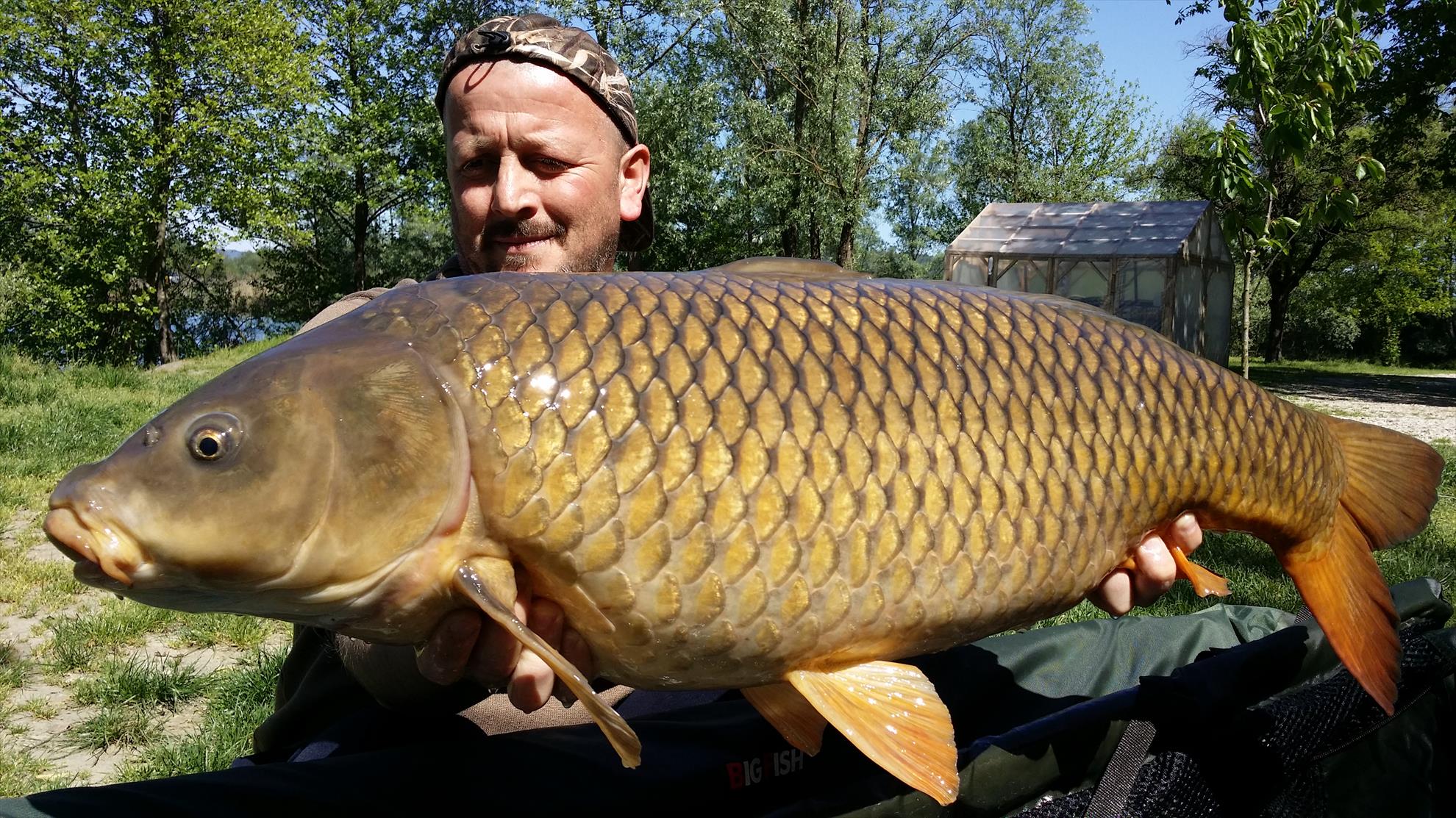 Lago Boschetto 26 - 27 aprilie 2016 - 20160427144913.jpg